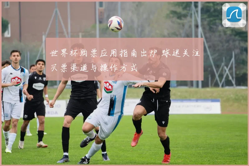 世界杯购票应用指南出炉 球迷关注买票渠道与操作方式