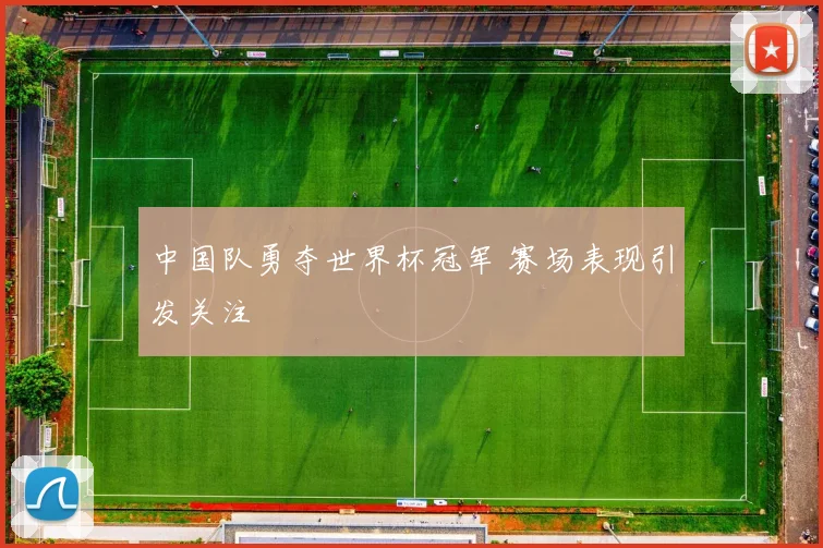 中国队勇夺世界杯冠军 赛场表现引发关注
